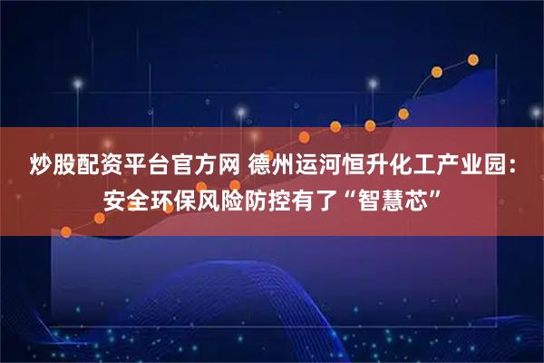 炒股配资平台官方网 德州运河恒升化工产业园：安全环保风险防控有了“智慧芯”