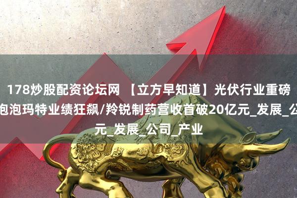178炒股配资论坛网 【立方早知道】光伏行业重磅座谈会/泡泡玛特业绩狂飙/羚锐制药营收首破20亿元_发展_公司_产业